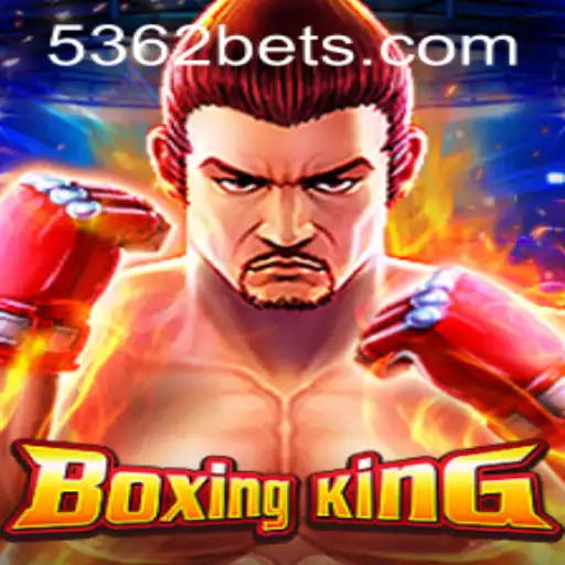 Descubra as Emoções do BoxingKing e a Inovação do 5362BET.COM